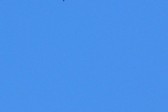 Best-of-Airday-186